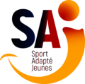 Ffsa logo saj rvb
